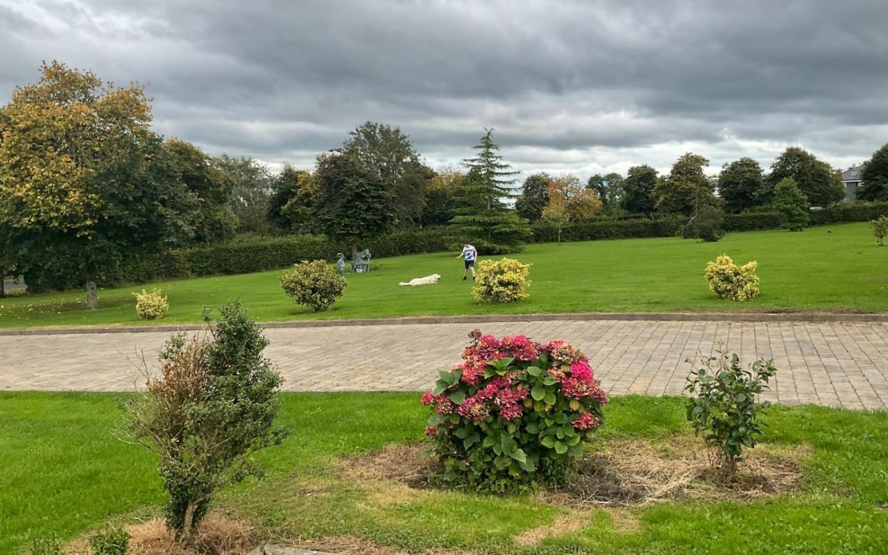 Hazelwood Country House Adare Εξωτερικό φωτογραφία