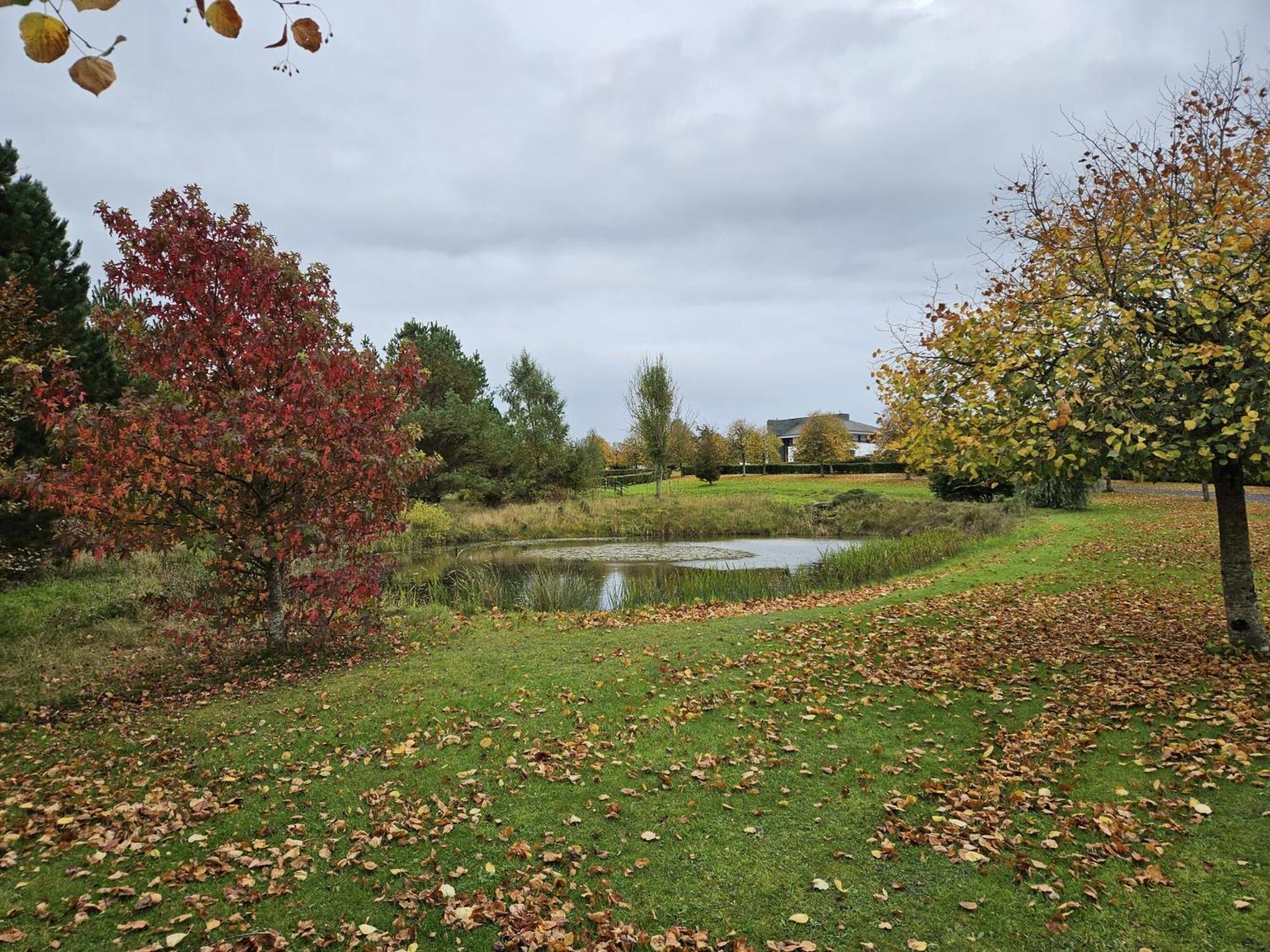 Hazelwood Country House Adare Εξωτερικό φωτογραφία