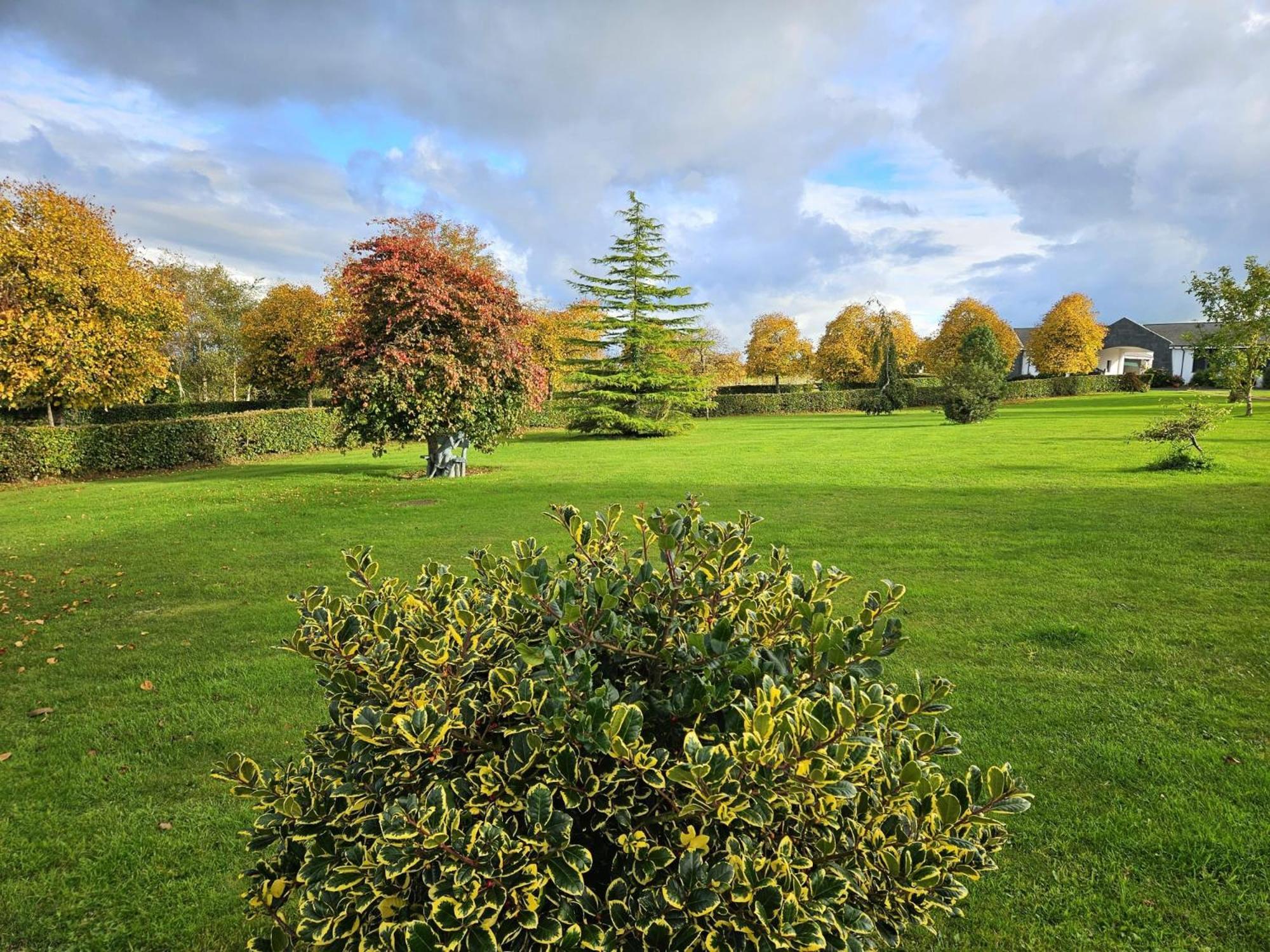 Hazelwood Country House Adare Εξωτερικό φωτογραφία